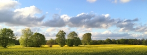 Frühling in Felde